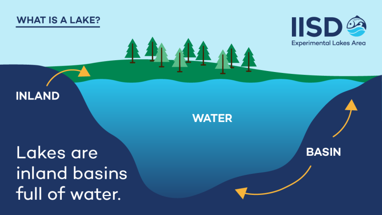 infographic on "what is a lake" from IISD Experimental Lakes Area in Ontario