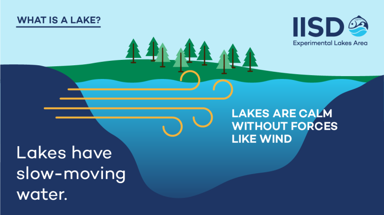 infographic showing movement of water and wind on a lake from IISD Experimental Lakes Area in Ontario