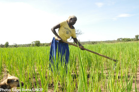 Grace Lawilu, a rice farmer in Northern Uganda. Photo: Edga Batte/UNDP