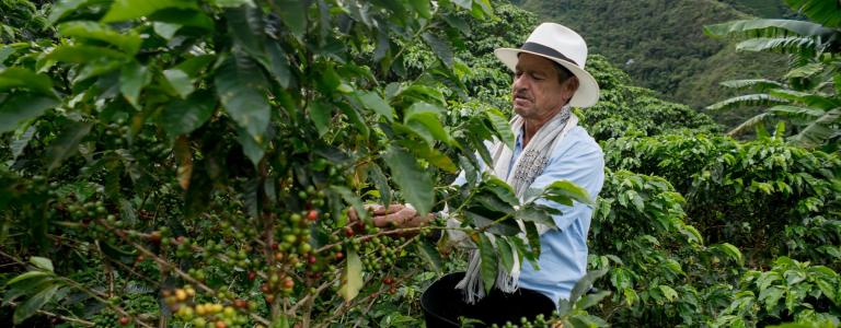 Coffee farmer in Colombia