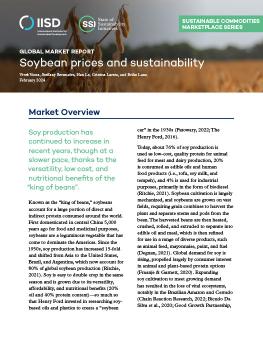 Global Market Report: Soybean prices and sustainability report cover showing a soybean field.