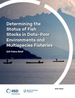 fish-stocks-multispecies-fisheries-1.jpg