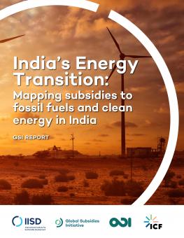 india-energy-transition-1.jpg