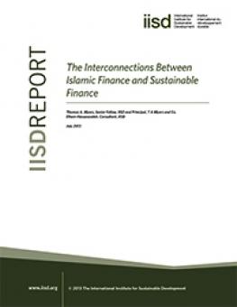 interconnections_islamic_sustainable_finance.jpg