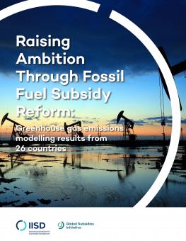 raising-ambition-fossil-fuel-subsidy-reform(5)-1.jpg