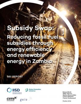 subsidy-swap-zambia-2.jpg