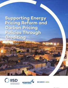 supporting-energy-pricing-reform-carbon-pricing-through-crediting-1.jpg