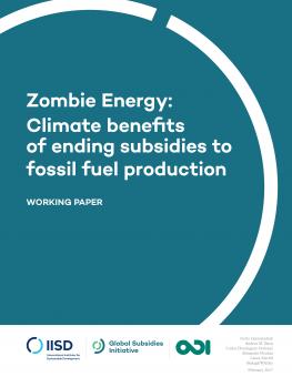 zombie-energy-climate-benefits-ending-subsidies-fossil-fuel-production-1.jpg