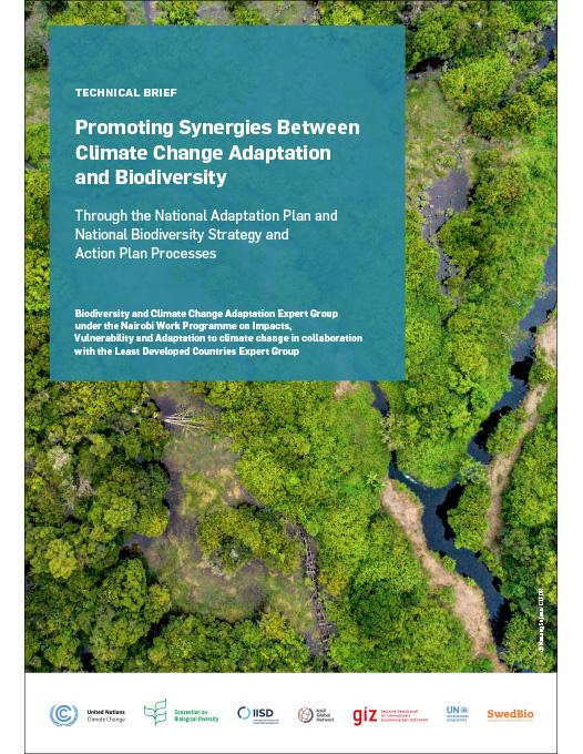 Promoting Synergies Between Climate Change Adaptation And Biodiversity ...