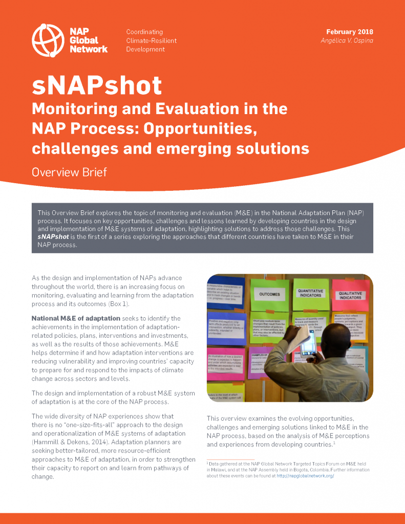 snapshot-monitoring-and-evaluation-in-the-nap-process-opportunities