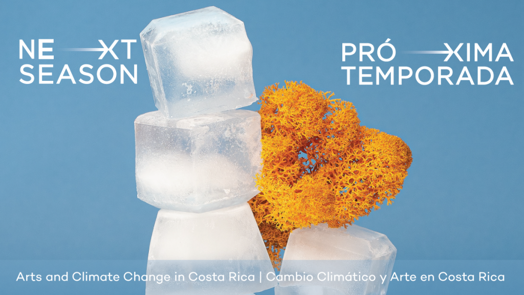 Poster, Next Season project. Ice cubes and coral sculpture.