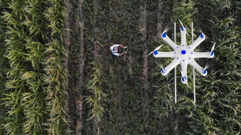 Drone overhead in farm fields