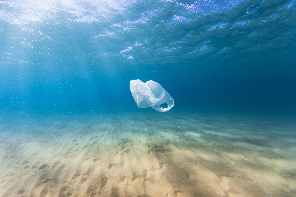 Microplastics: What Are They And What Can We Do About Them? - IISD ...