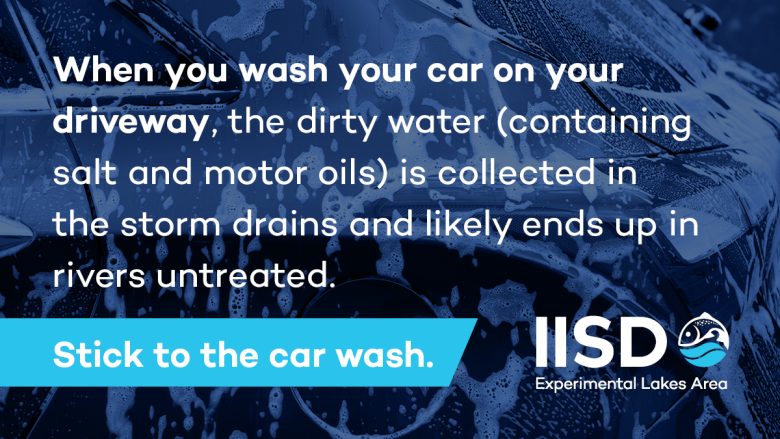 Tips on domestic water usage regarding washing your car during COVID 19
