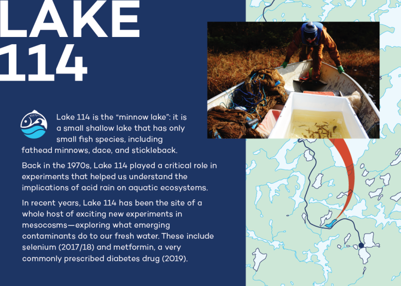 infographic on Lake 114 at IISD Experimental Lakes Area in Ontario