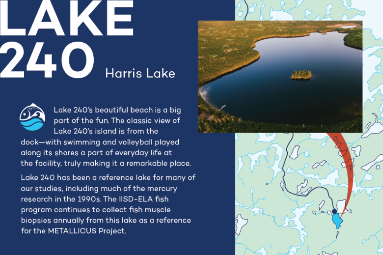 Infographic of Lake 240 at IISD Experimental Lakes Area in Ontario