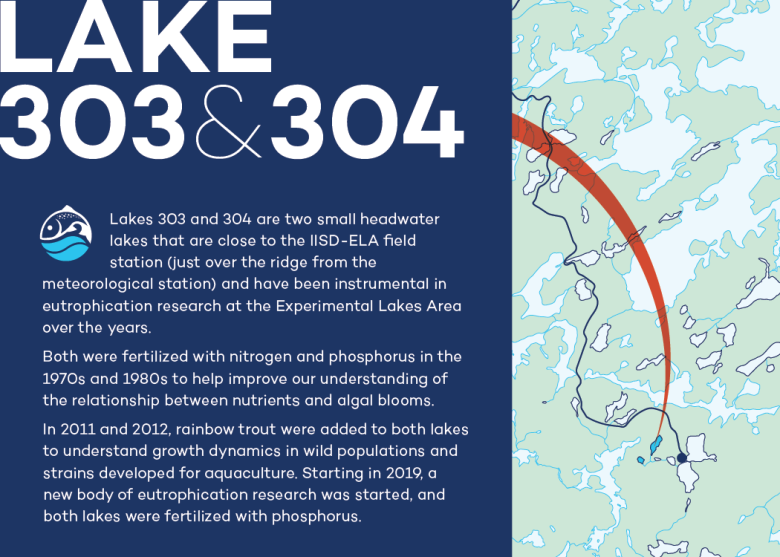 Infographic of Lake 303 and 304 at IISD Experimental Lakes Area in Ontario