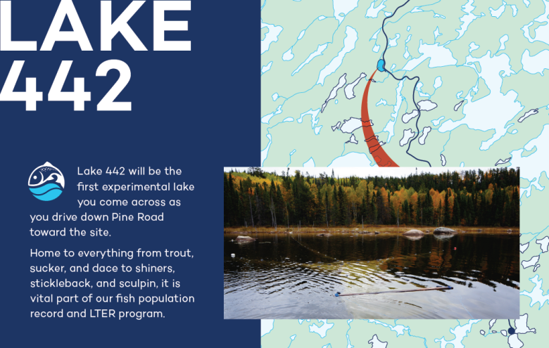 Infographic of Lake 442 at IISD Experimental Lakes Area in Ontario