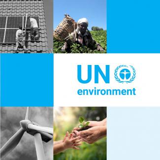 United Nations Environment Programme (UNEP) | GSI