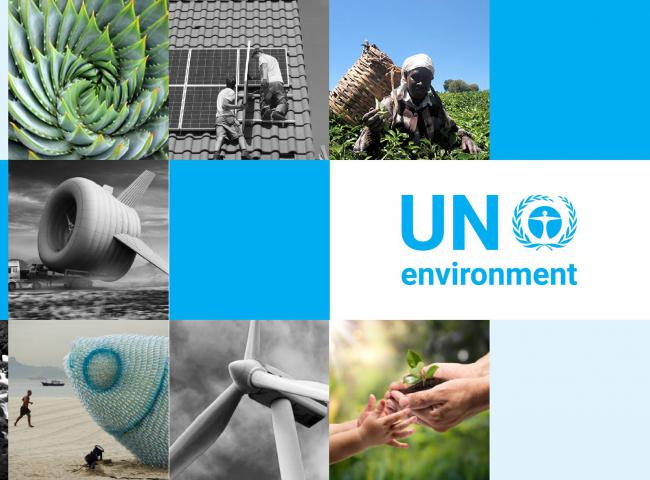 United Nations Environment Programme (UNEP) | GSI