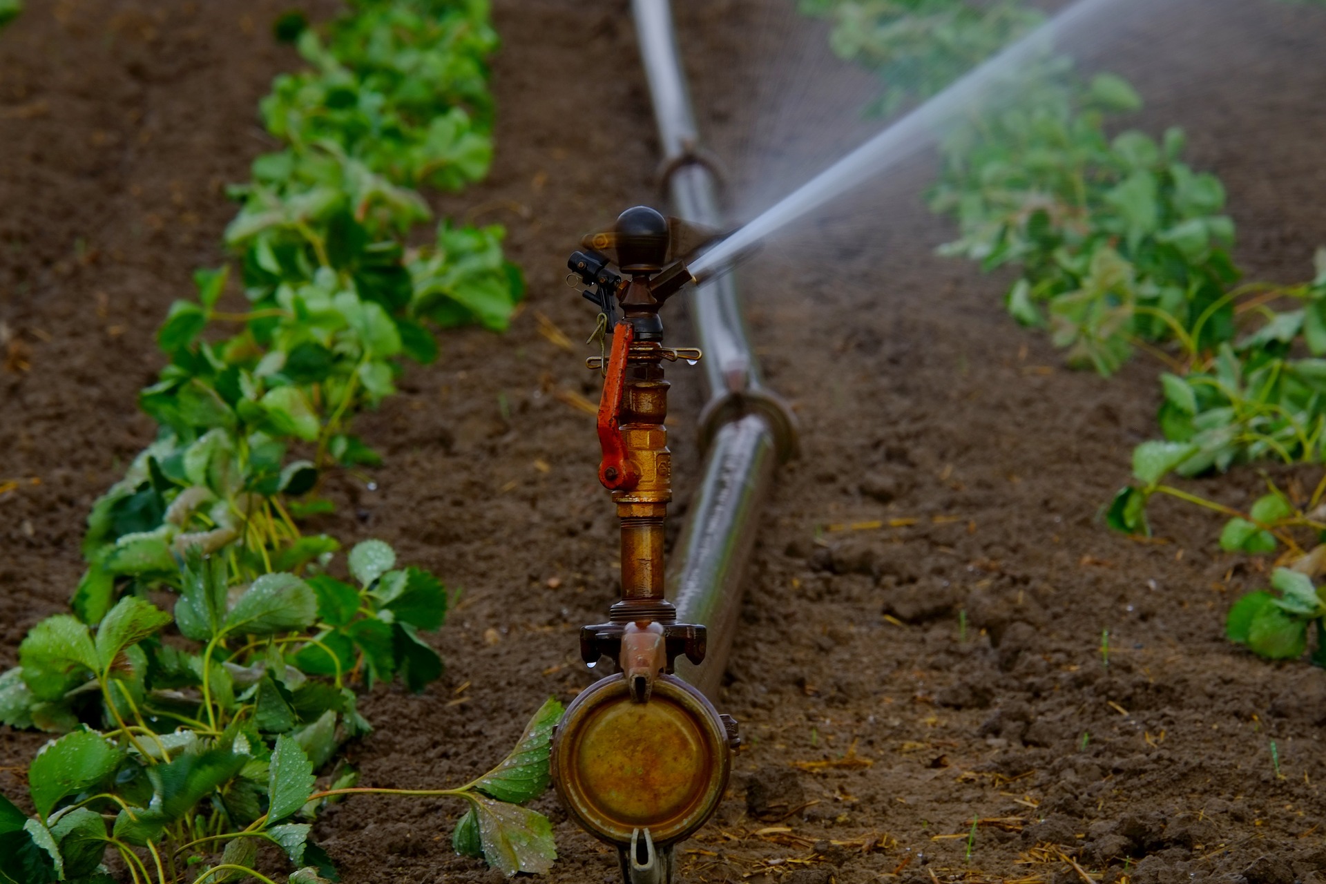 Why Investing In Water Efficient Irrigation Is A Pragmatic Recovery Plan For Rural Communities