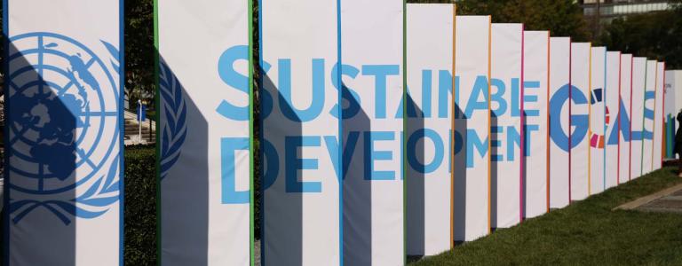 A row of stands that together spell out "Sustainable Development Goals," preceded by the United Nations logo