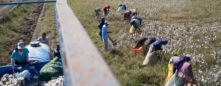 Improving Visibility in Cotton Supply Chains to Achieve Transparency