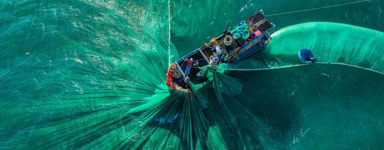 Fisheries Subsidies: Will World Trade Organization members finish
