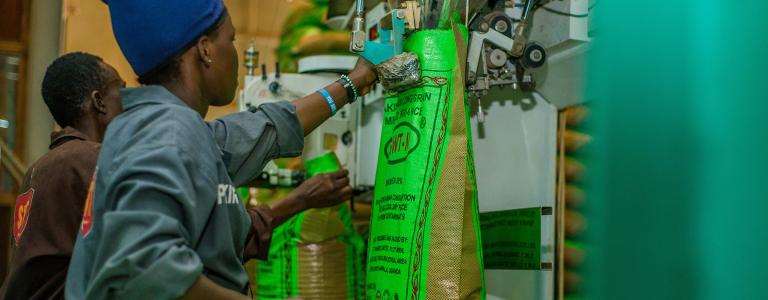 Workers packaging rice in Uganda