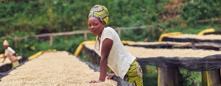 Woman involved in growing coffee in Africa.