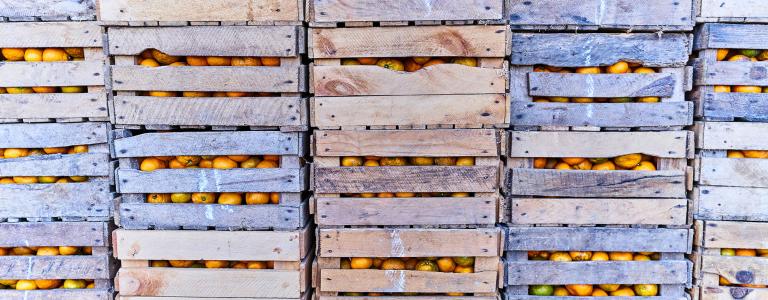 Citrus fruits in wooden boxes.