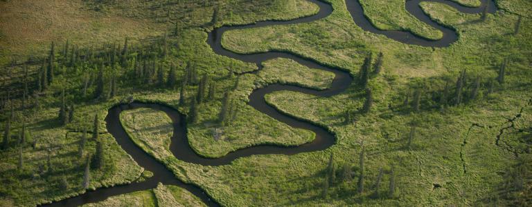 An aerial view of a meandering river. Bristol Bay, Alaska, United States