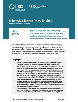 Indonesia’s Energy Policy Briefing | July 2020 | International ...