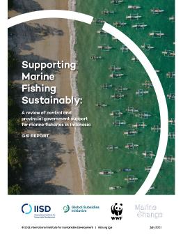 Supporting Marine Fishing Sustainably: A Review Of Central And ...