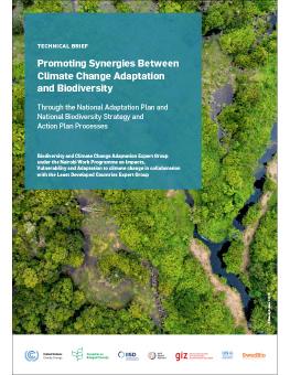 Promoting Synergies Between Climate Change Adaptation And Biodiversity ...