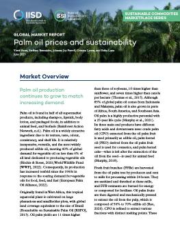 Global Market Report: Palm oil prices and sustainability report cover showing palm trees.