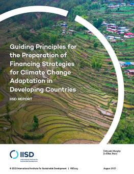 Guiding Principles for the Preparation of Financing Strategies for Climate Change Adaptation in Developing Countries report cover showing a UNEP project in the Dolakha region of Nepal training communities on how to use nature-based solutions and ecosystem restoration to adapt to the worsening impacts of climate change.