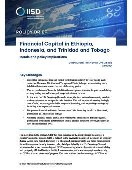 Financial Capital in Ethiopia, Indonesia, and Trinidad and Tobago brief cover showing financial diagrams over a blue background.