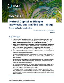Natural Capital in Ethiopia, Indonesia, and Trinidad and Tobago brief cover showing an aerial view of a rice terrace in Indonesia.