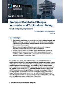 Produced Capital in Ethiopia, Indonesia, and Trinidad and Tobago brief cover showing a high-rise building under construction.