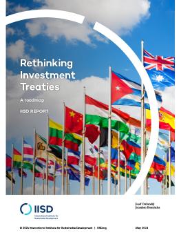 Rethinking Investment Treaties report cover showing international flags flying in front of a blue sky with clouds.