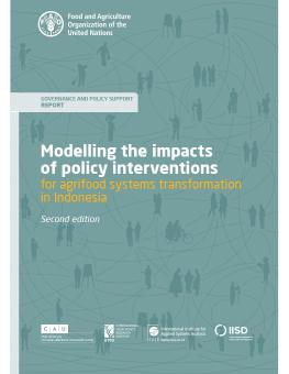 Modelling the Impacts of Policy Interventions for Agrifood Systems Transformation in Indonesia report cover showing a green-blue background with illustrated silhouettes of people.