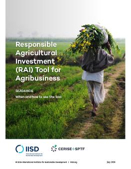 Cover image for The Responsible Agricultural Investment Tool for Agribusiness