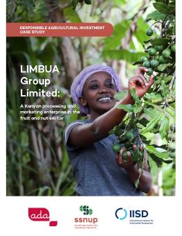 LIMBUA Group Limited report cover showing a small-scale farmer in Embu county, Kenya, harvesting macadamia on her farm.