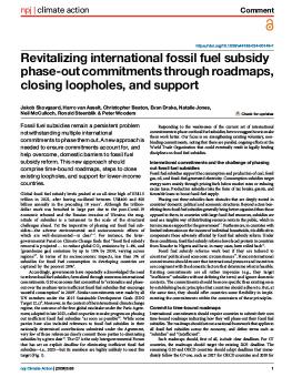 The first page of the Revitalizing International Fossil Fuel Subsidy Phase-Out Commitments Through Roadmaps, Closing Loopholes, and Support brief.