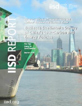 business-sentiments-survey-china-low-carbon-energy-policies.jpg