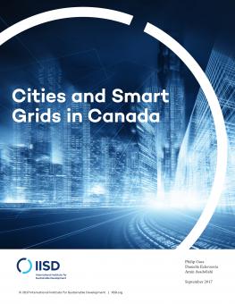 Cities And Smart Grids In Canada | International Institute For ...