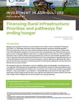 financing-rural-infrastructure-pathways-ending-hunger-policy-brief-en-1.jpg