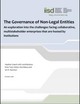 The Governance Of Non-Legal Entities: An Exploration Into The ...