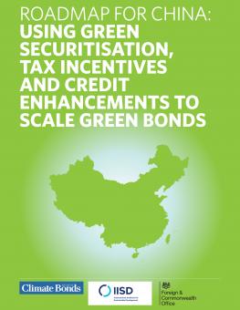 greening-securitisation-tax-incentives-credit-enhancements-green-bonds-en-1.jpg